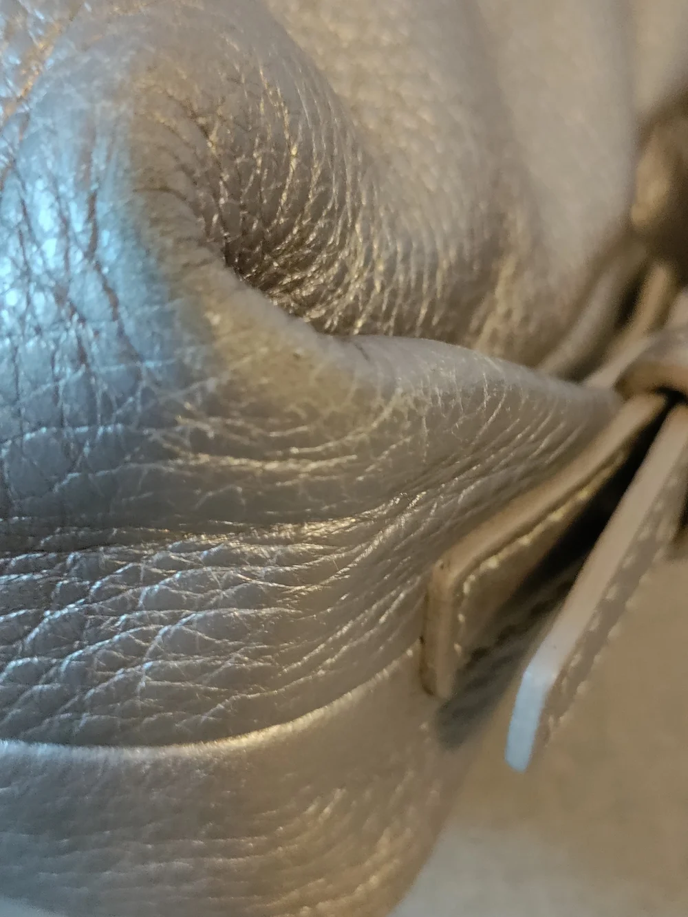 Dooney & Bourke brand dooney